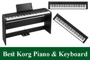 Best Korg Digital Piano Keyboard
