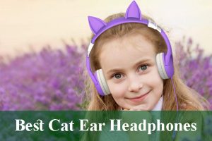 Best Cat Ear Headphones