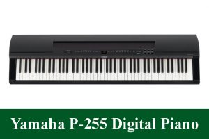 Yamaha P-255 Digital Piano