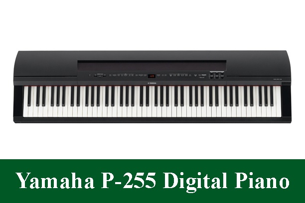 Yamaha P-255 Digital Piano Review 2023