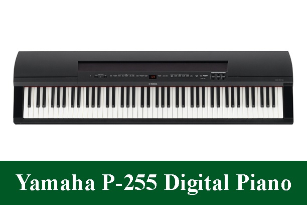 Yamaha P-255 Digital Piano