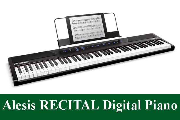 Alesis Recital | 88 Key Beginner Digital Piano