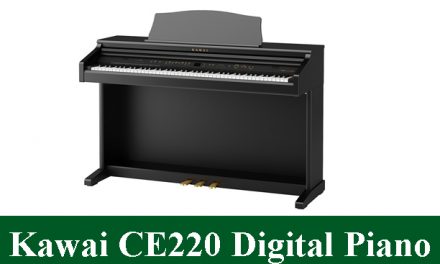 Kawai CE220 Digital Piano Review 2023