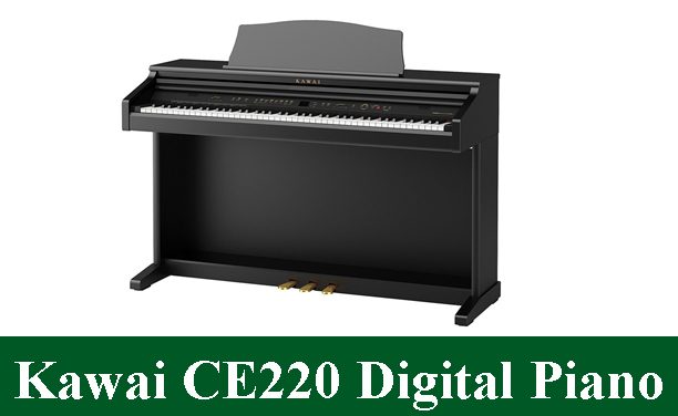 Kawai CE220 Digital Piano Review 2023