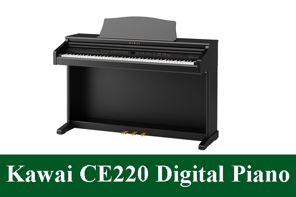 Kawai CE220 Digital Piano Review 2023