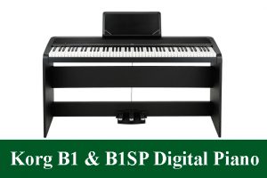 Korg B1SP & B1 88 Keys Digital Piano