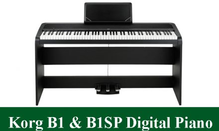 Korg B1 & Korg B1SP Digital Piano Reviews 2023