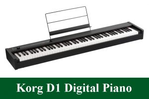 Korg D1 Digital Piano