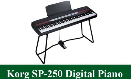 Korg SP-250 Digital Piano Review 2023