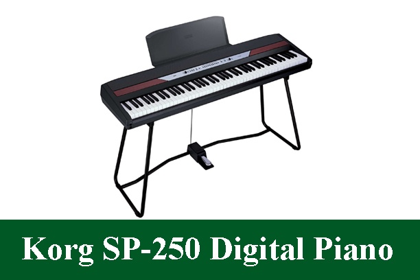 Korg SP-250 Digital Piano