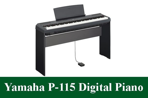 Yamaha P-115 Digital Piano Review 2023