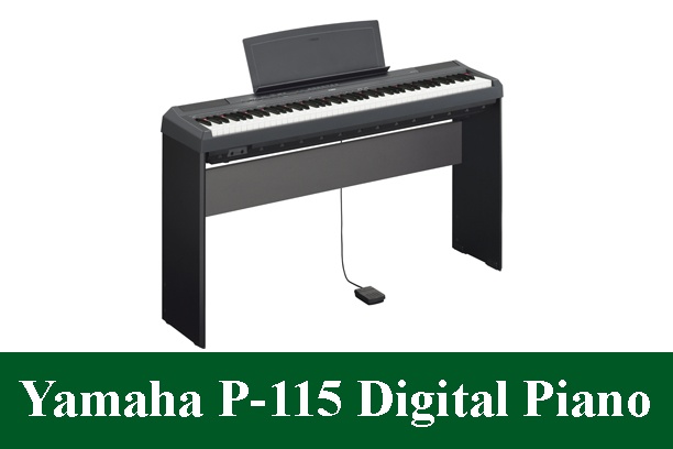 Yamaha P-115 Digital Piano