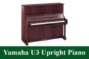 Yamaha U3 52" Professional Collection Acoustic Upright Piano
