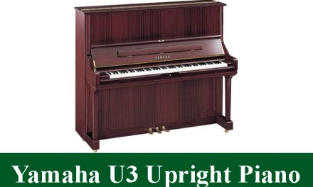 Yamaha U3 Upright Piano Review 2023