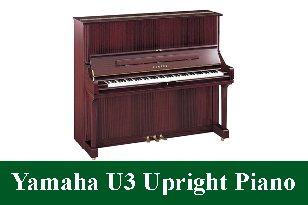 Yamaha U3 Upright Piano Review 2022