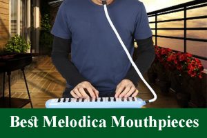 Best Melodica Mouthpieces