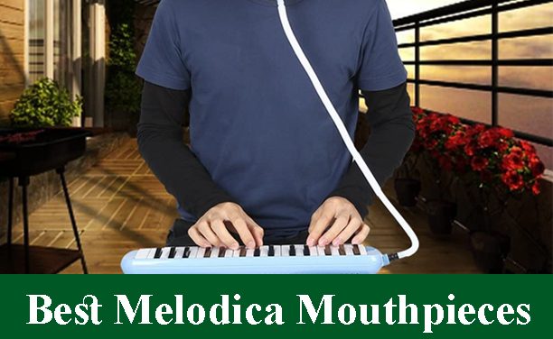 Best Melodica Mouthpieces Reviews 2022