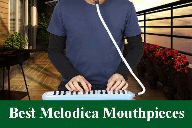 Best Melodica Mouthpieces