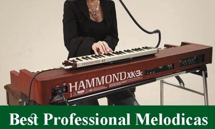 Best Professional Melodicas Reviews 2023