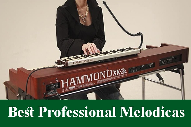 Best Professional Melodicas