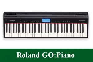 Roland GO:Digital Piano