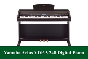 Yamaha Arius YDP-V240 Digital Piano