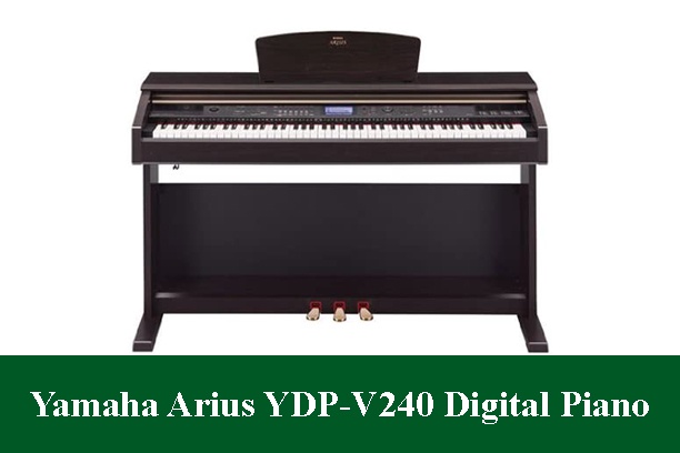 Yamaha Arius YDP-V240 Digital Piano