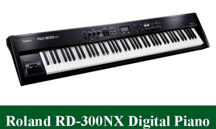 Roland RD-300NX Digital Piano Review 2023