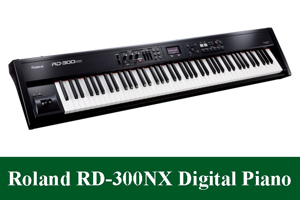 Roland RD-300NX Digital Piano