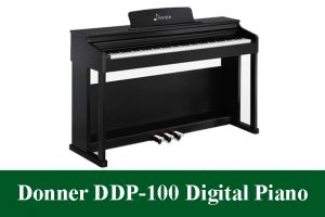 Donner DDP-100 88-Key Weighted Action Digital Piano